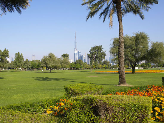 ein fleckchen gruen in dubei, wirkt wie eine oase. ist sie wirklich oder.......?
