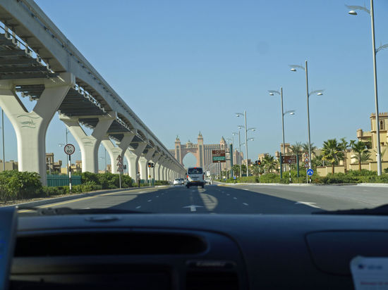 den stamm der palme entlang fahren