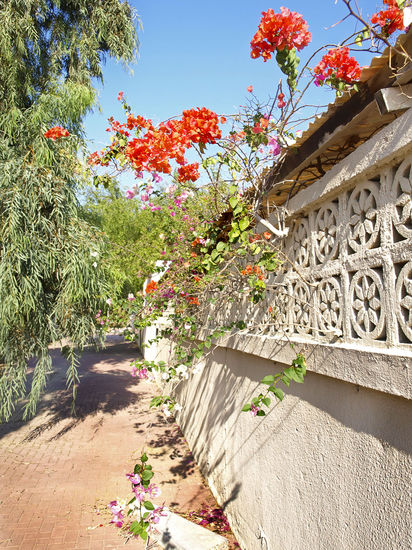 hier werden sogar blumen gepflanzt