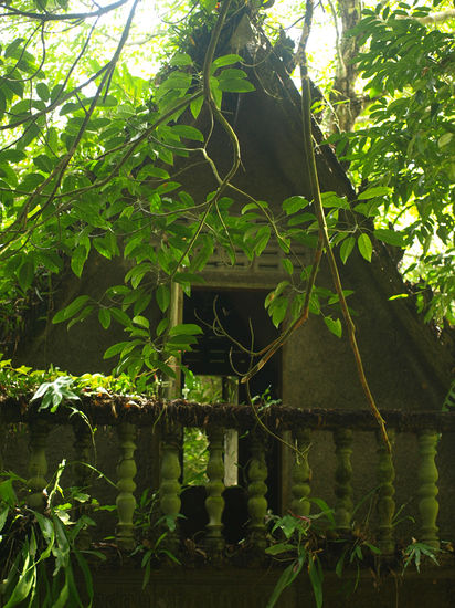 haben uns eine dachwohnung gekauft - genau wie daheim