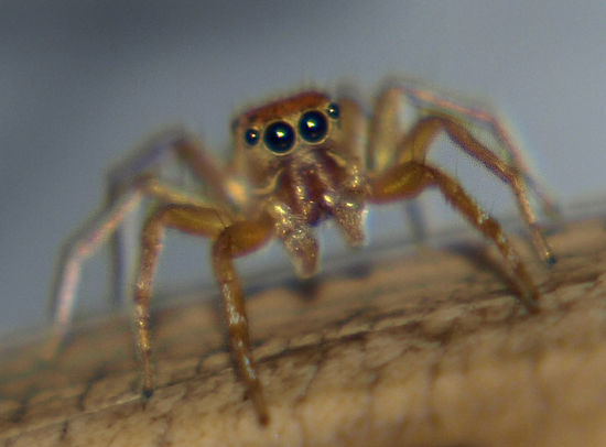 wer noch nie fotografiert worden ist, erschrickt schon mal
