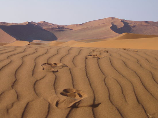Dünenlandschaft beim Hidden Vlei
