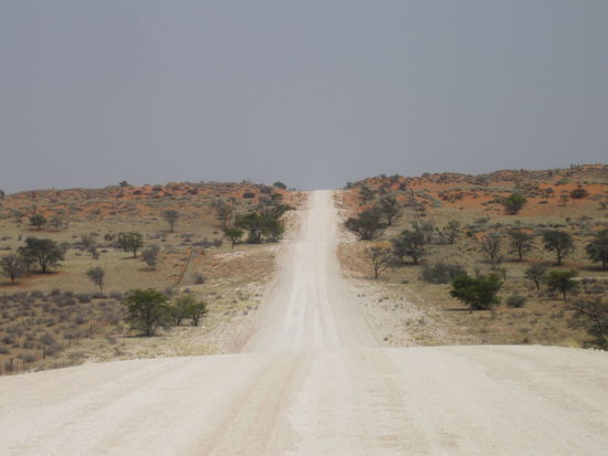 In der Kalahari