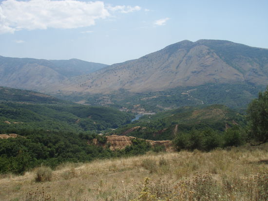 Der etwas andere Blick auf das Blaue Auge