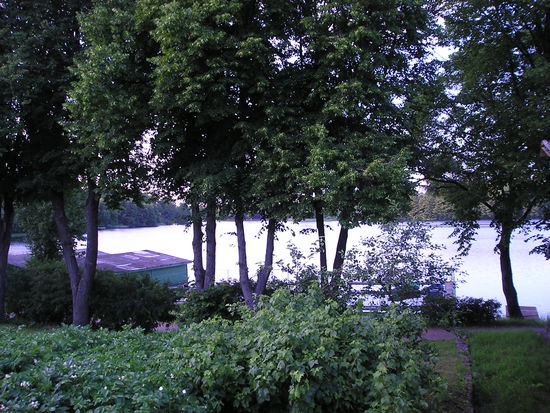 Blick von unserer Terrasse auf den See