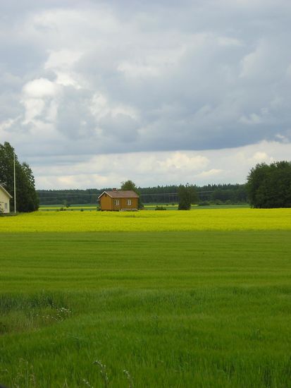 Unsere Hütte im Rapsfeld 