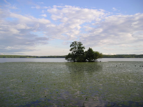 Mälaren bei Sigtuna