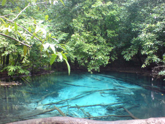 Emerald Pools - Blue Pool