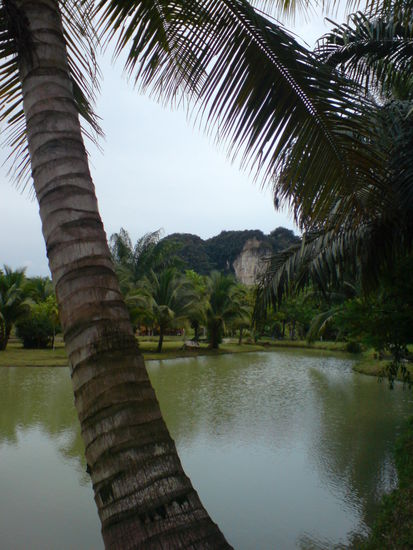 Krabi Fishing Park