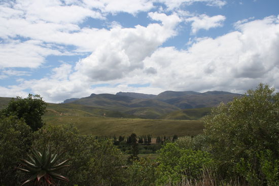 Bei Swellendam