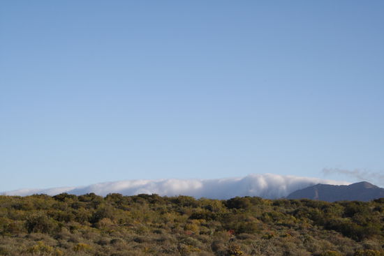 Zwischen Oudtshoorn und dem Robinson Pass