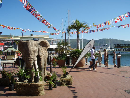 Waterfront Knysna