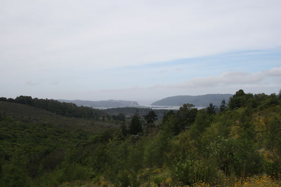 Blick auf Knysna und die Heads