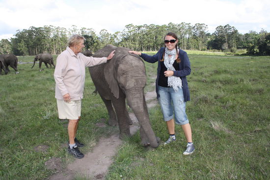 Knysna Elephant Park