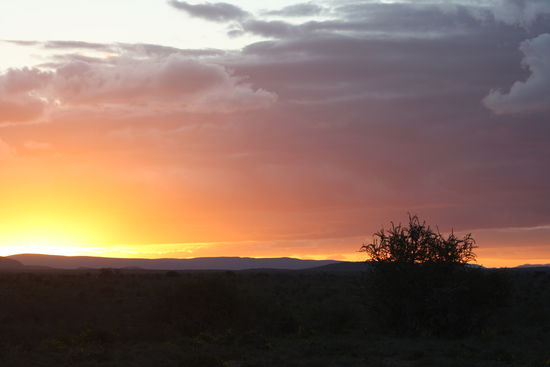 Sonnenuntergang in der Karoo