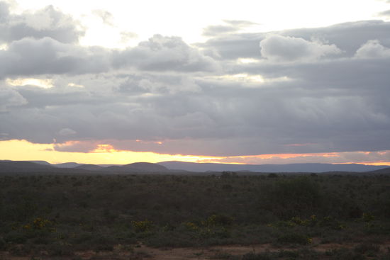 Abendstimmung in der Karoo