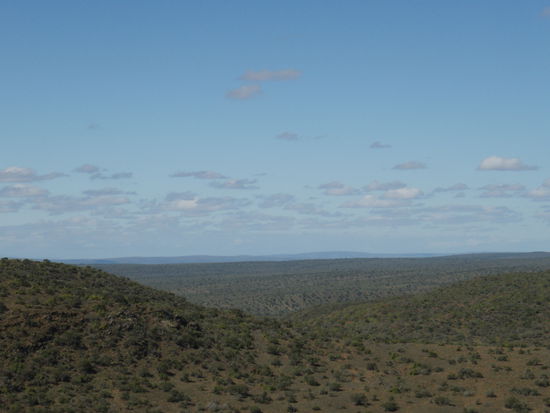 Karoo