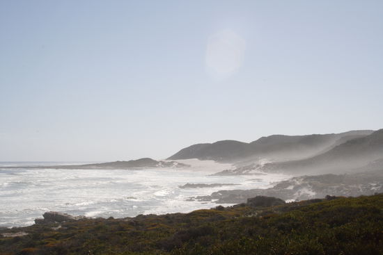 Table Mountain National Park