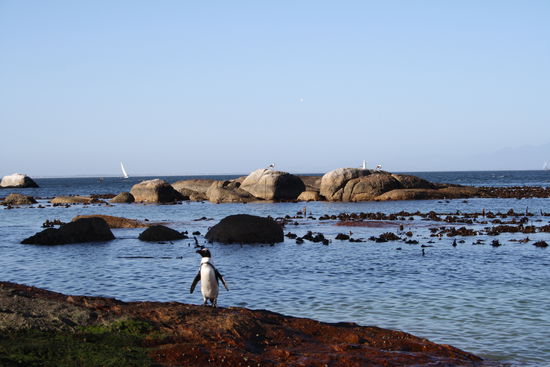 Simon's Town