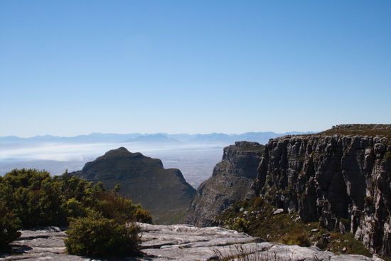 Auf dem Tafelberg