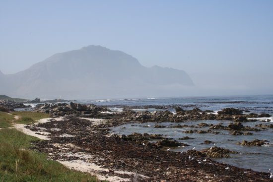 Betty's Bay