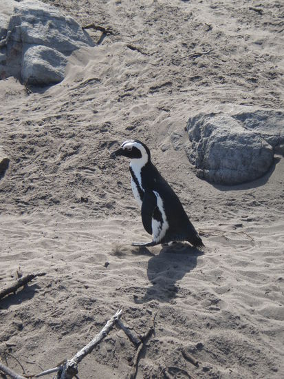 ...jetzt aber schnell weg...