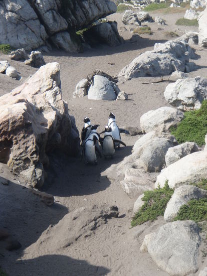 Ooooh - Achtung, stehen bleiben!!! Menschen!