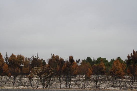 Kogelberg Nature Reserve