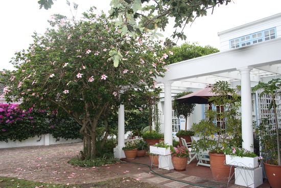Eastbury Cottage, Hermanus
