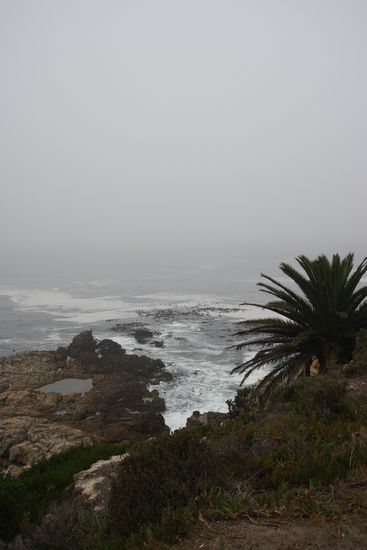 Hermanus