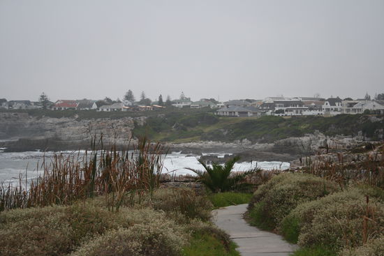 Fick's Pool, Hermanus