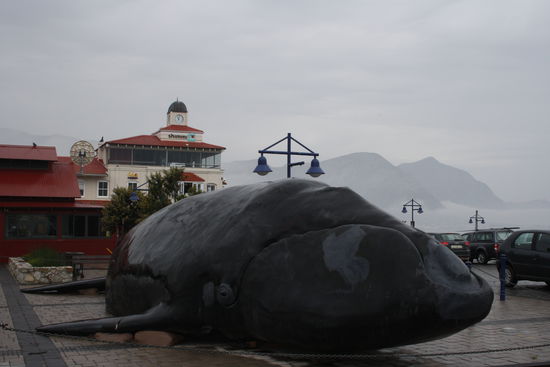 Vor dem Wal-Museum, Hermanus