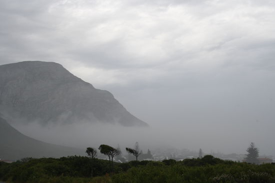 Hermanus