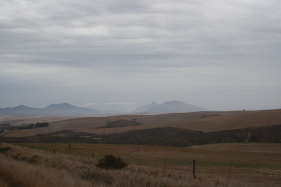 Kornfelder soweit das Auge reicht...