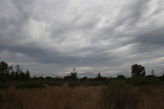 Auf dem Weg nach Mossel Bay
