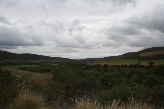 Zwischen Mossel Bay und Herbertsdale