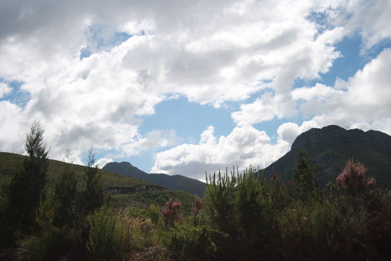 Outeniqua Pass