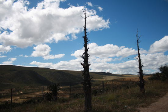Kleine Karoo
