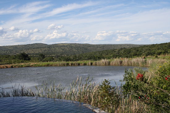 Der Pool und das "hauseigene" Wasserloch