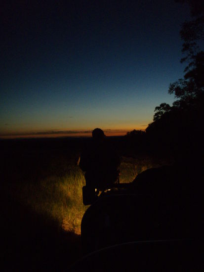 Tobani unser Fährtenleser