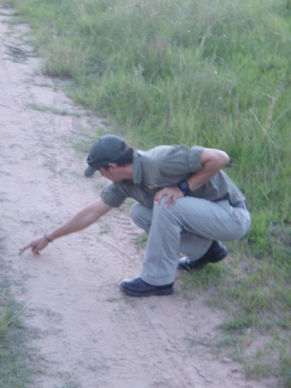 Ashley erklärt uns die unterschiedlichen Pfotenabdrücke