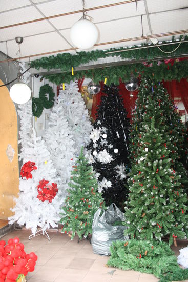 Weihnachtsbaum gefällig? 