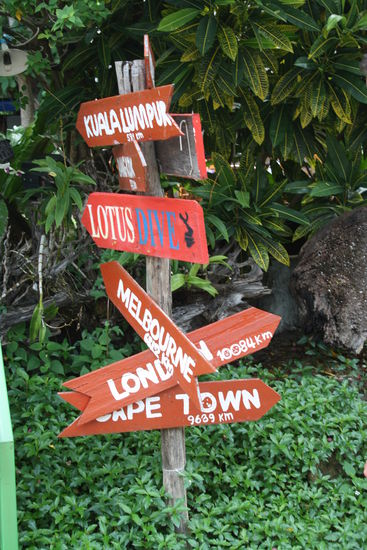 Entlang der Walking Street