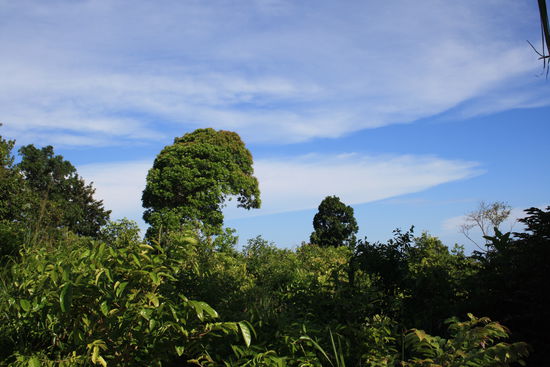 "Hinterland" von Ko Lipe