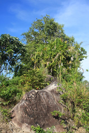 "Hinterland" von Ko Lipe