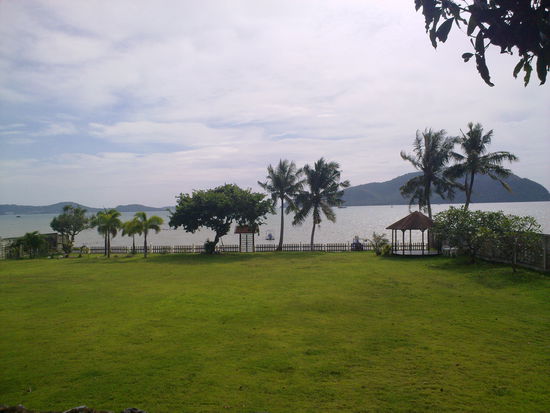 Blick von der Terrasse über den Garten