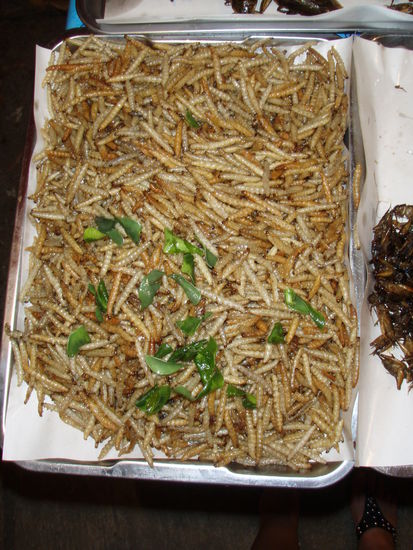 Ein paar geröstete Maden gefällig?