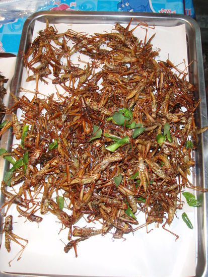 ...oder doch lieber Heuschrecken? 