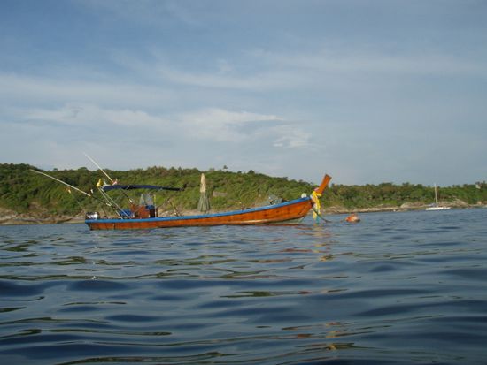 "Unser" Longtail