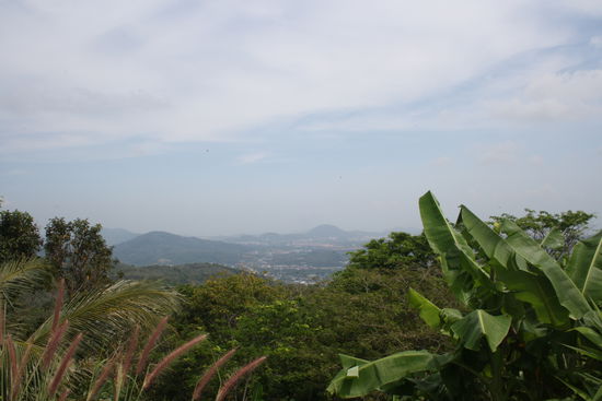 Blick vom Big Buddha